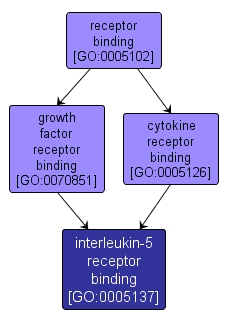 GO:0005137 - interleukin-5 receptor binding (interactive image map)