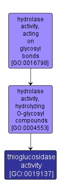 GO:0019137 - thioglucosidase activity (interactive image map)