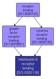 GO:0005138 - interleukin-6 receptor binding (interactive image map)