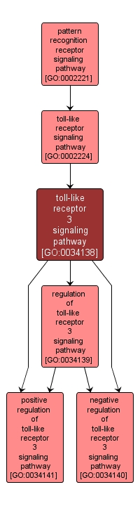 GO:0034138 - toll-like receptor 3 signaling pathway (interactive image map)