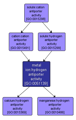 GO:0051139 - metal ion:hydrogen antiporter activity (interactive image map)