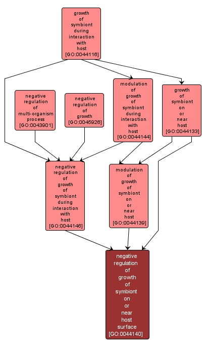 GO:0044140 - negative regulation of growth of symbiont on or near host surface (interactive image map)