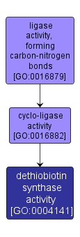 GO:0004141 - dethiobiotin synthase activity (interactive image map)