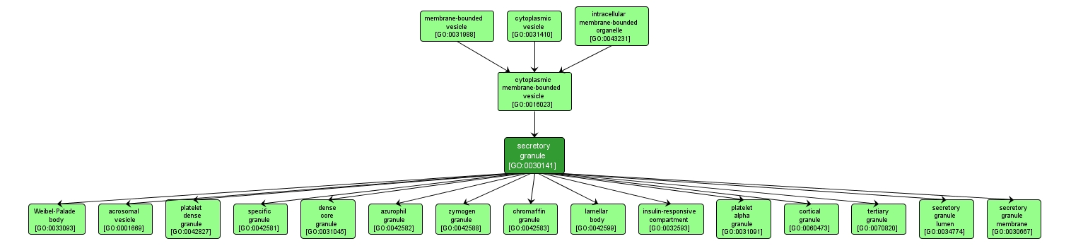 GO:0030141 - secretory granule (interactive image map)