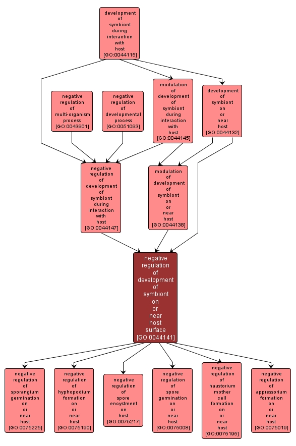 GO:0044141 - negative regulation of development of symbiont on or near host surface (interactive image map)
