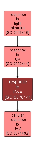 GO:0070141 - response to UV-A (interactive image map)