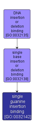 GO:0032142 - single guanine insertion binding (interactive image map)