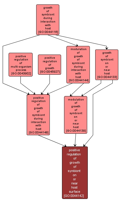 GO:0044142 - positive regulation of growth of symbiont on or near host surface (interactive image map)