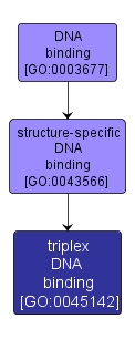 GO:0045142 - triplex DNA binding (interactive image map)