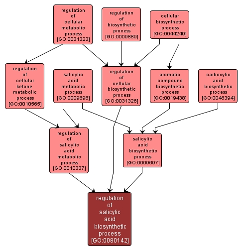 GO:0080142 - regulation of salicylic acid biosynthetic process (interactive image map)