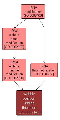 GO:0002143 - wobble position uridine thiolation (interactive image map)