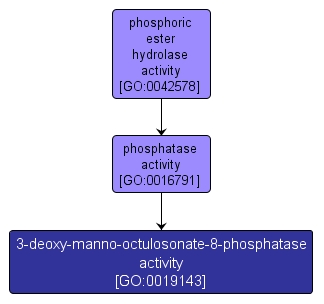 GO:0019143 - 3-deoxy-manno-octulosonate-8-phosphatase activity (interactive image map)