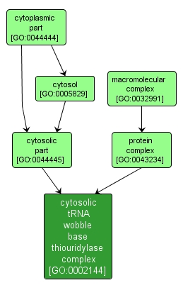 GO:0002144 - cytosolic tRNA wobble base thiouridylase complex (interactive image map)