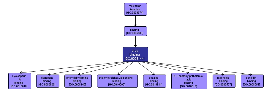 GO:0008144 - drug binding (interactive image map)