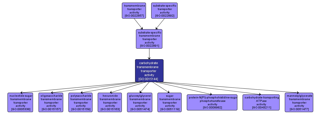 GO:0015144 - carbohydrate transmembrane transporter activity (interactive image map)