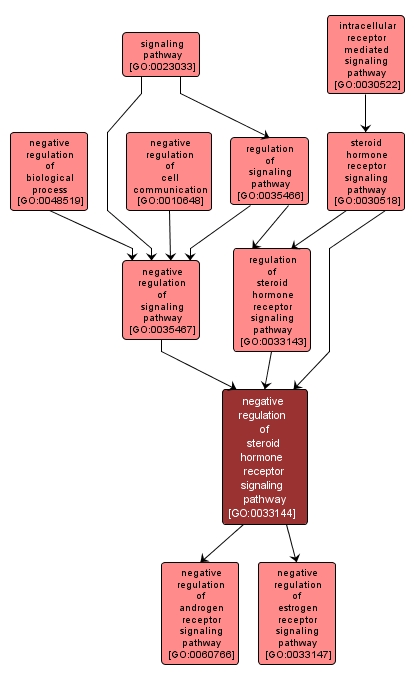 GO:0033144 - negative regulation of steroid hormone receptor signaling pathway (interactive image map)