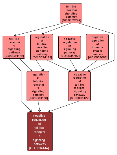 GO:0034144 - negative regulation of toll-like receptor 4 signaling pathway (interactive image map)