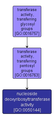 GO:0050144 - nucleoside deoxyribosyltransferase activity (interactive image map)