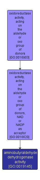 GO:0019145 - aminobutyraldehyde dehydrogenase activity (interactive image map)