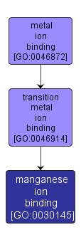 GO:0030145 - manganese ion binding (interactive image map)