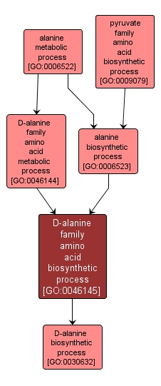 GO:0046145 - D-alanine family amino acid biosynthetic process (interactive image map)