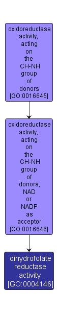 GO:0004146 - dihydrofolate reductase activity (interactive image map)