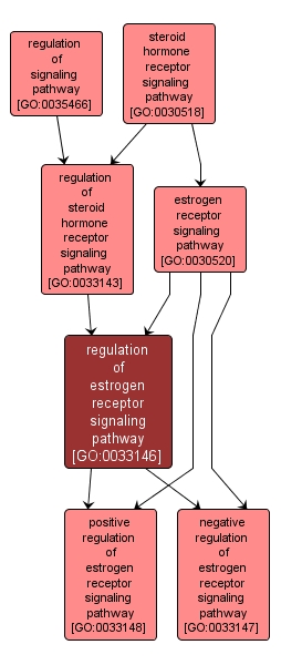 GO:0033146 - regulation of estrogen receptor signaling pathway (interactive image map)