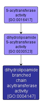 GO:0004147 - dihydrolipoamide branched chain acyltransferase activity (interactive image map)