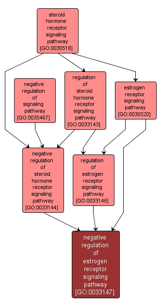 GO:0033147 - negative regulation of estrogen receptor signaling pathway (interactive image map)