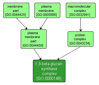 GO:0000148 - 1,3-beta-glucan synthase complex (interactive image map)