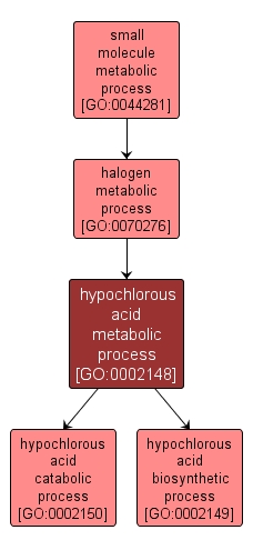 GO:0002148 - hypochlorous acid metabolic process (interactive image map)