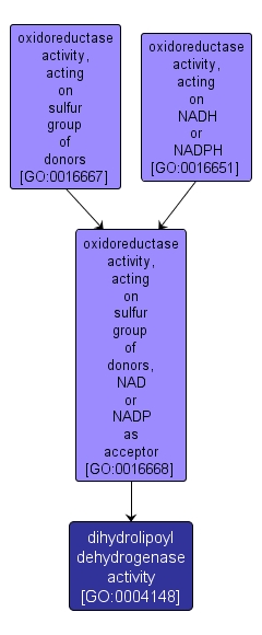 GO:0004148 - dihydrolipoyl dehydrogenase activity (interactive image map)