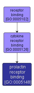 GO:0005148 - prolactin receptor binding (interactive image map)