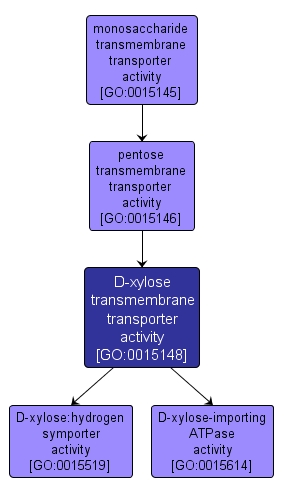 GO:0015148 - D-xylose transmembrane transporter activity (interactive image map)