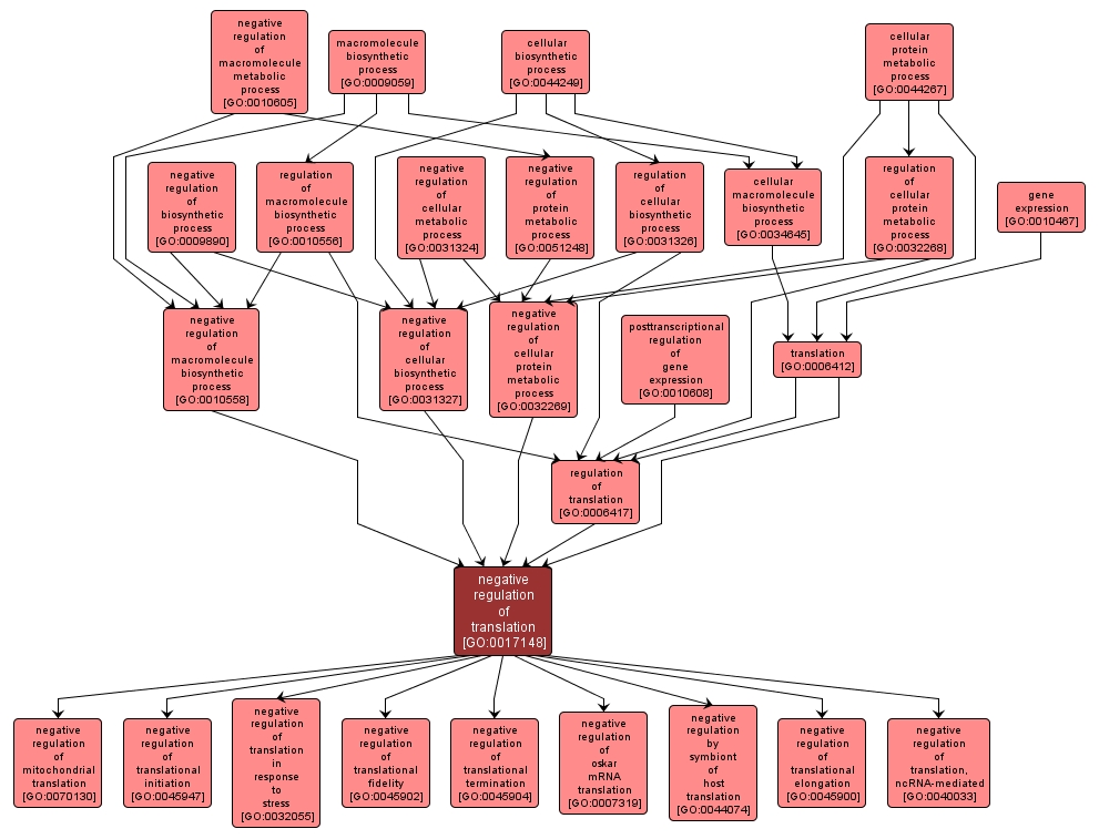 GO:0017148 - negative regulation of translation (interactive image map)