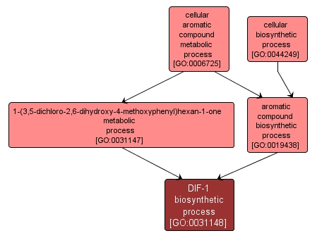 GO:0031148 - DIF-1 biosynthetic process (interactive image map)