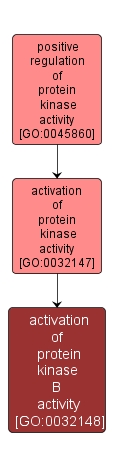 GO:0032148 - activation of protein kinase B activity (interactive image map)