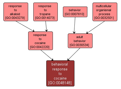 GO:0048148 - behavioral response to cocaine (interactive image map)