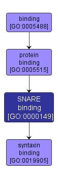 GO:0000149 - SNARE binding (interactive image map)