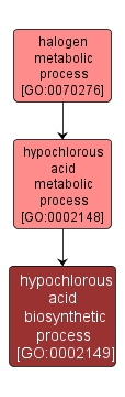 GO:0002149 - hypochlorous acid biosynthetic process (interactive image map)