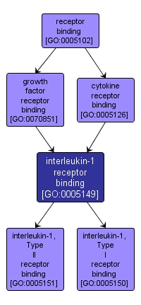 GO:0005149 - interleukin-1 receptor binding (interactive image map)