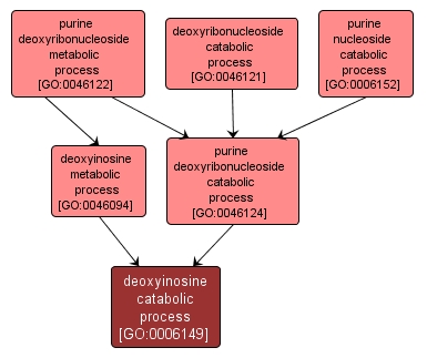 GO:0006149 - deoxyinosine catabolic process (interactive image map)