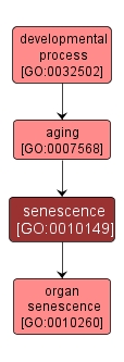 GO:0010149 - senescence (interactive image map)