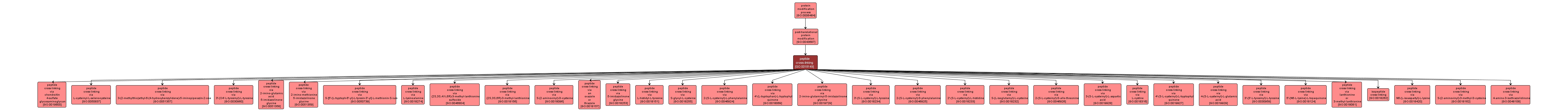 GO:0018149 - peptide cross-linking (interactive image map)