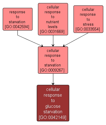 GO:0042149 - cellular response to glucose starvation (interactive image map)