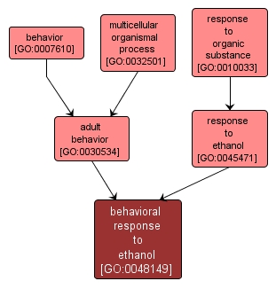 GO:0048149 - behavioral response to ethanol (interactive image map)