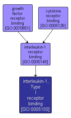 GO:0005150 - interleukin-1, Type I receptor binding (interactive image map)