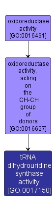 GO:0017150 - tRNA dihydrouridine synthase activity (interactive image map)