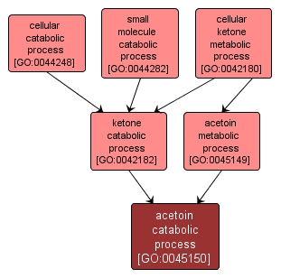 GO:0045150 - acetoin catabolic process (interactive image map)