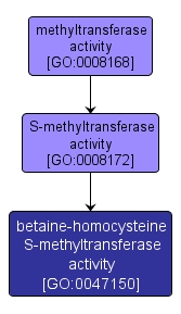 GO:0047150 - betaine-homocysteine S-methyltransferase activity (interactive image map)